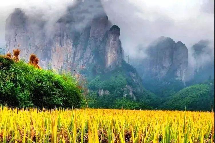饺子馅怎么做好吃？游戏画面