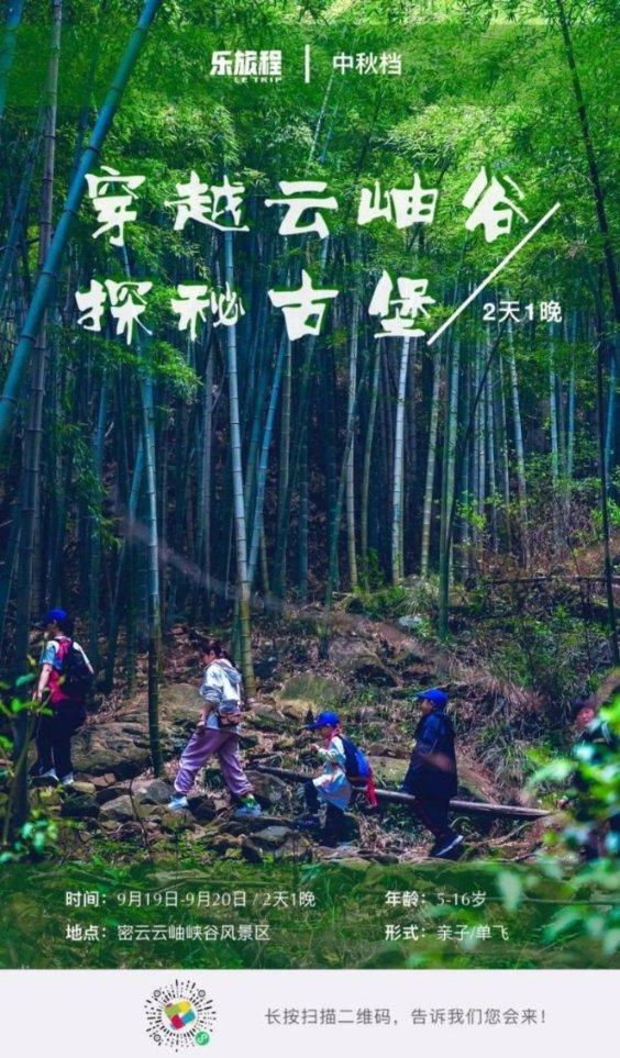 引球进框选关版