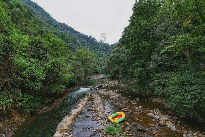 召唤神龙万宁版祖龙