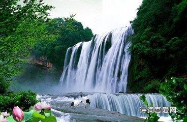 拯救昆虫群